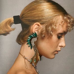 Elizabeth Cole Dramatic Mohawk Crystal Earrings